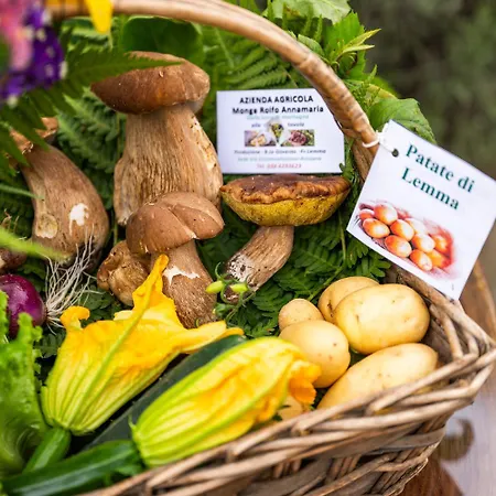 La Meira Di Lucia לינה וארוחת בוקר