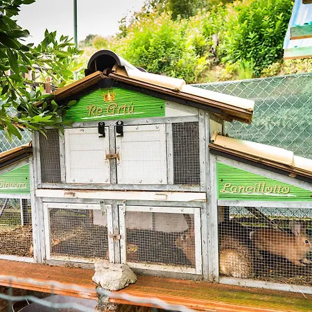 Bed & Breakfast La Meira Di Lucia Rossana